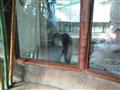 Návšteva autobusom po ZOO v Bratislave