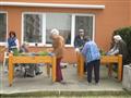 Aranžovanie a mobilné záhradky