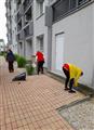 NAŠE MESTO /projekt/