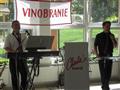 Vinobranie 2018